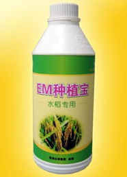 廣州以諾生物科技推出‘em種植寶’水稻專用產(chǎn)品，助力綠色農(nóng)業(yè)發(fā)展