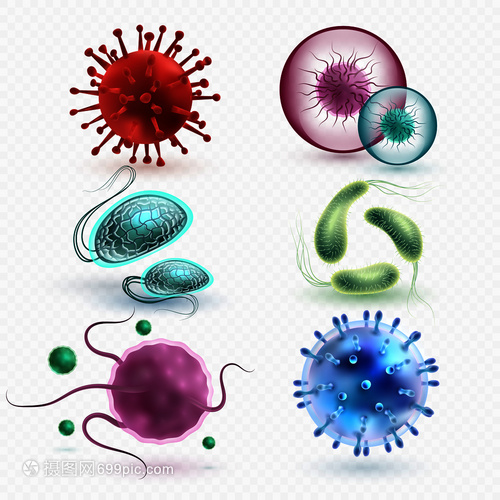 3D現(xiàn)實中的微生物與細菌 隔離、媒集與微觀世界的探索
