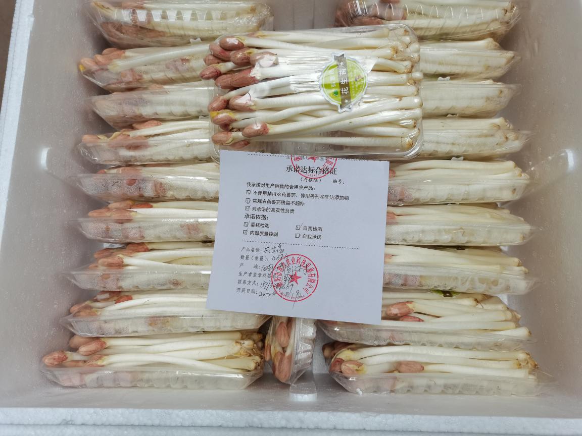 推進承諾達標合格證制度 守護“舌尖上的安全”——食用農產品批發專項行動紀實